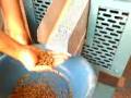 videos de ENG-MAQ Máquina Biomassa Laboratório