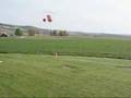 Yellow-Lab-chases-RC