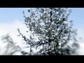 A Winter's Drive