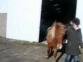 Great time in Diget