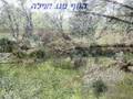 Caesarea-luxury villa neer the sea. קיסריה וילה מול הים