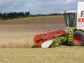 Claas-Lexion-480-na-