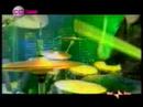 I Grandi Animali Marini a CD Live