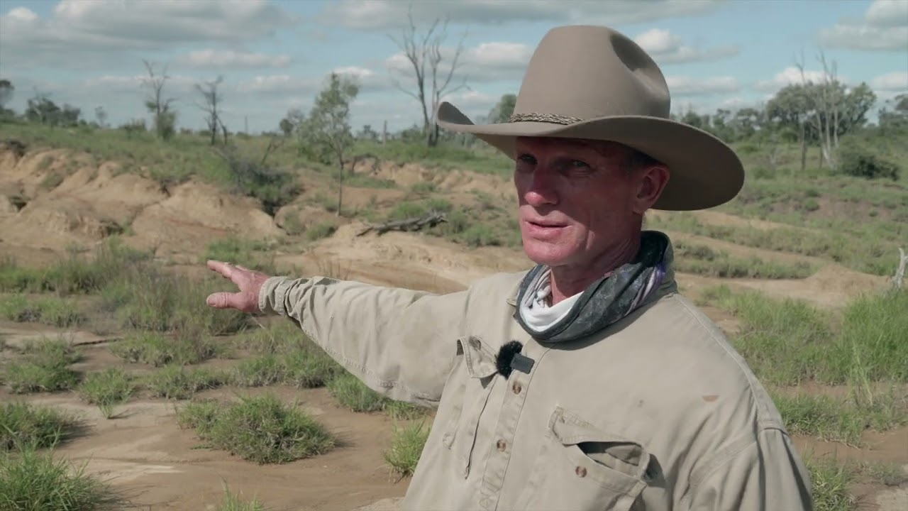 Mayfield: Future Drought Fund project restores degraded landscapes using cattle impact