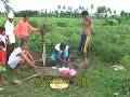 Integrierte Muster Farm auf den Philippinen