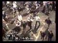 UEFA Cup final Disturbance (2)