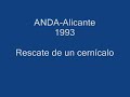 cernicala