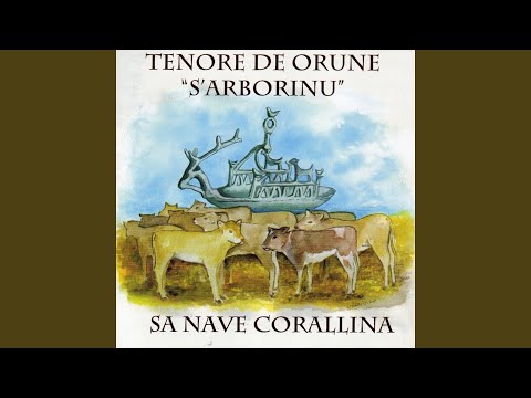 Su VII cumannamentu