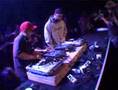 D-Styles Toadstyle Showcase