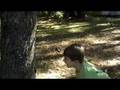videos de The Life Of JD... How to save the leaves