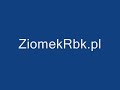 Ziomek