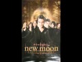 NEW_MOON!