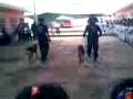 videos de Seg4.3gp