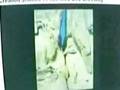 videos de Proving the bible is inspired by god