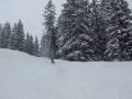 paulzee snowboarding