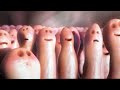 panda still tastebuds advert