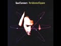 David Summers- No se que mide el infinito.wmv