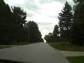 videos de high winds -downed branches in the neighborhood