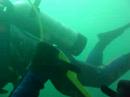 Uno de los Buceos realizados desde el Golfo Azul. En punta Conscriptos