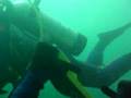 Buceo en Puerto Madryn - Punta Conscriptos