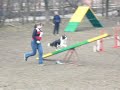 Agility 06042008 Agility 06042008