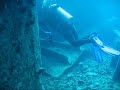 Diving on Thistlegorm