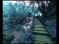 Amazon Waterfalls relaxing ambient music