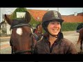 Paarden in het verkeer