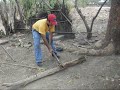 El Maitro Mauricio cortando la le