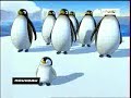 1 A Pigloo: Papa Pingouin