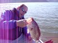 Tom Bono lands a 3 Lb. cookie cutter clear lake bass