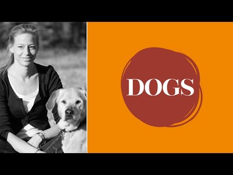 Julia Fritz über: Welches Welpenfutter ist für meinen Hund das richtige?
