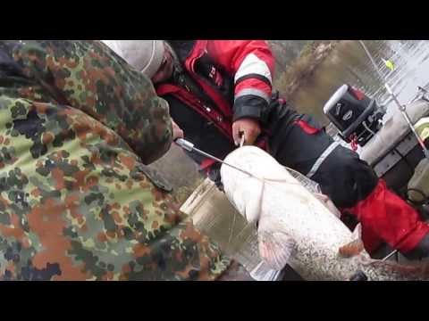 видео ловля на припяти видео ловля на припяти