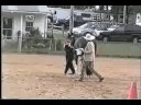 Showmanship