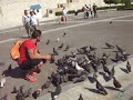 Feedign doves in Syntagma