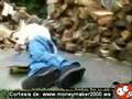 Skate mala suerte
