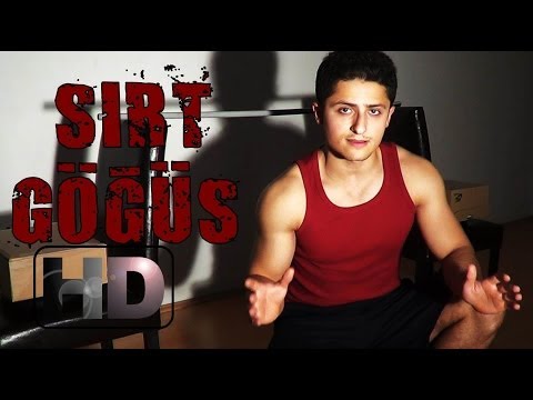 göğüs