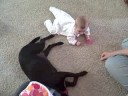 Vienna is almost crawling! Vienna is almost crawling!