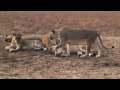 Travel Video Competition