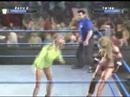 model catfighting