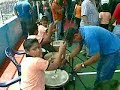 fundagraez los querubines de san francisco en san jcainto