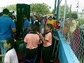 fundagraez los querubines de san francisco en san jcainto