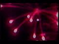 Swervedriver - Duel (Original Version)