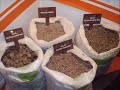 KOLEKSI GAMBAR MAHA 2006