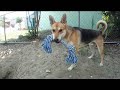 Click here to watch this video Laredo