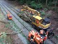 Logging in the Park