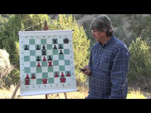 chess knight