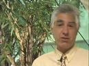 Teacher Interview: Michael Jacobson-Hardy