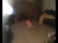 New Dance.