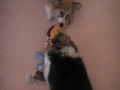 Millie & Ruby #2